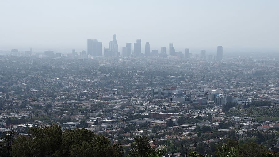 Smoggy LA